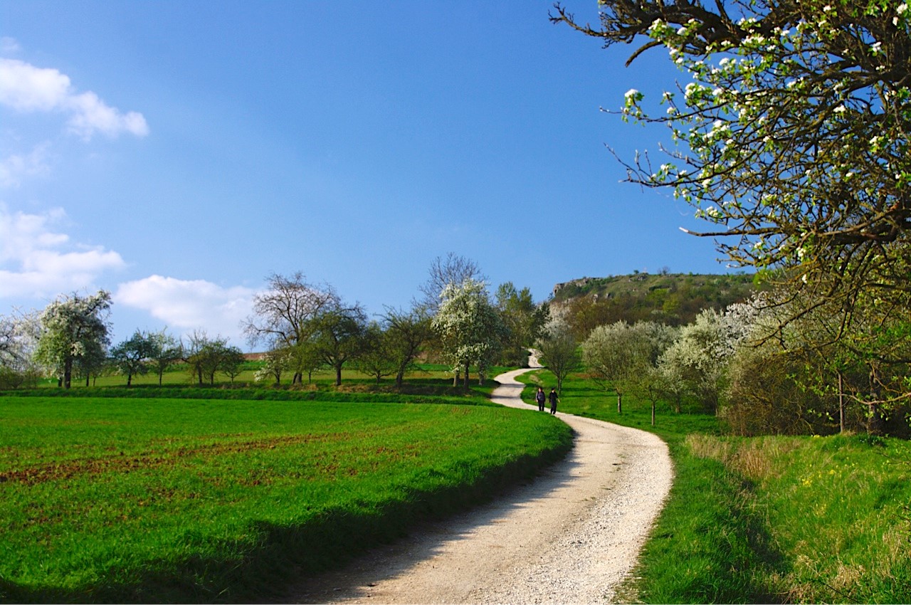 Naturfotografie Weg zum Staffelberg